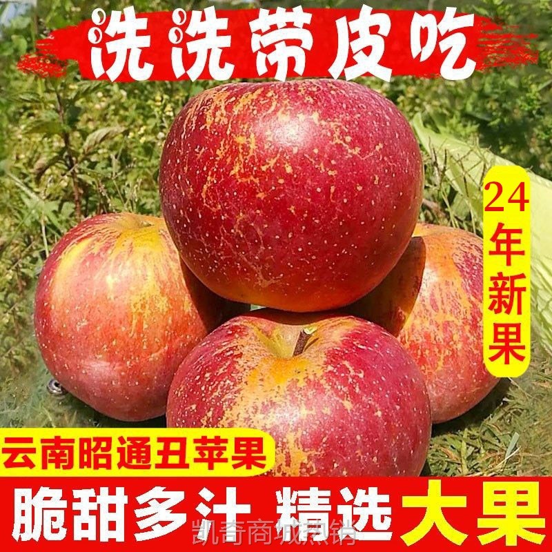 正宗云南昭通丑苹果水果新鲜当季整箱现摘冰糖心苹果甜脆一件代发