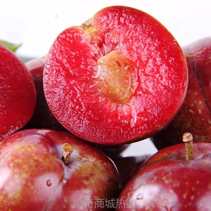 当季新鲜现摘酸甜脆李大果孕妇水果鲜李子斤整箱批发代发