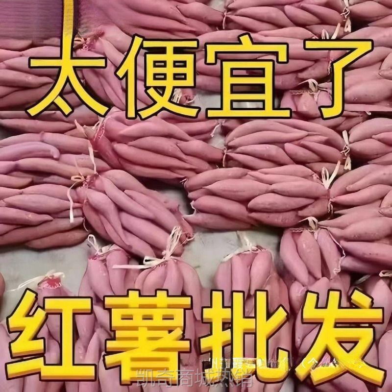 河南新鲜蜜薯糖心红薯9-10斤番薯农家沙地烤地瓜山芋流油黄心软糯