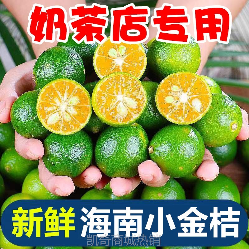 海南小金桔青桔新鲜青柠檬青柑皮薄应季当季水果柠檬新鲜斤金橘