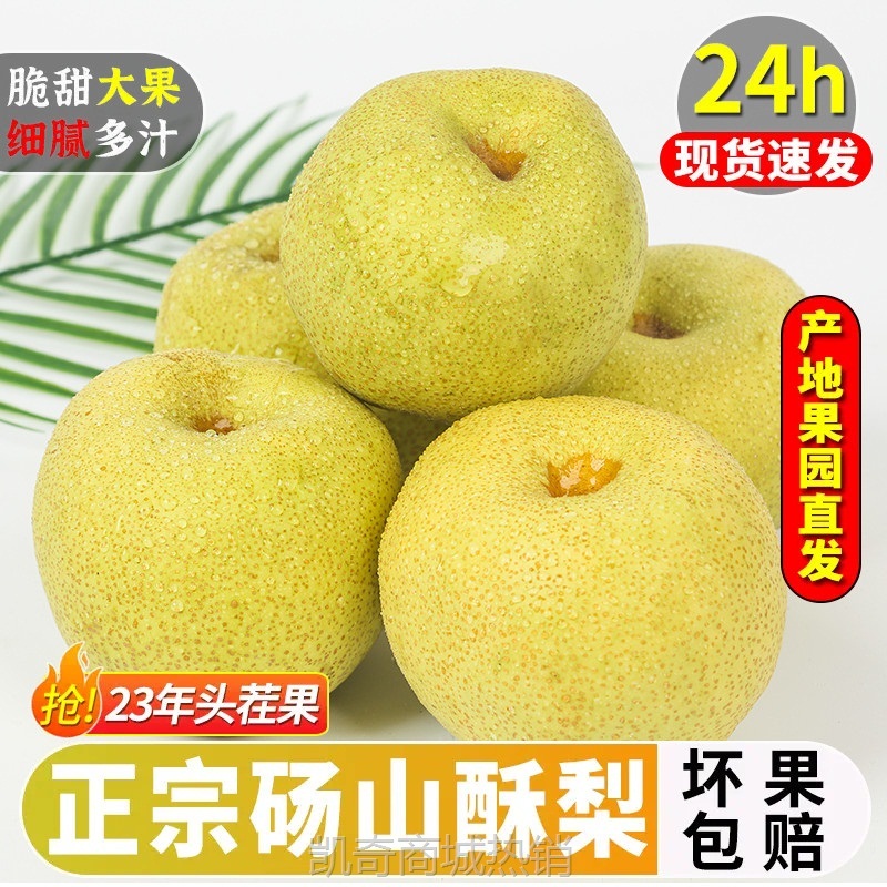 砀山梨梨子新鲜水果10斤整箱包邮当季贡酥香梨白甜梨青梨皇冠雪梨