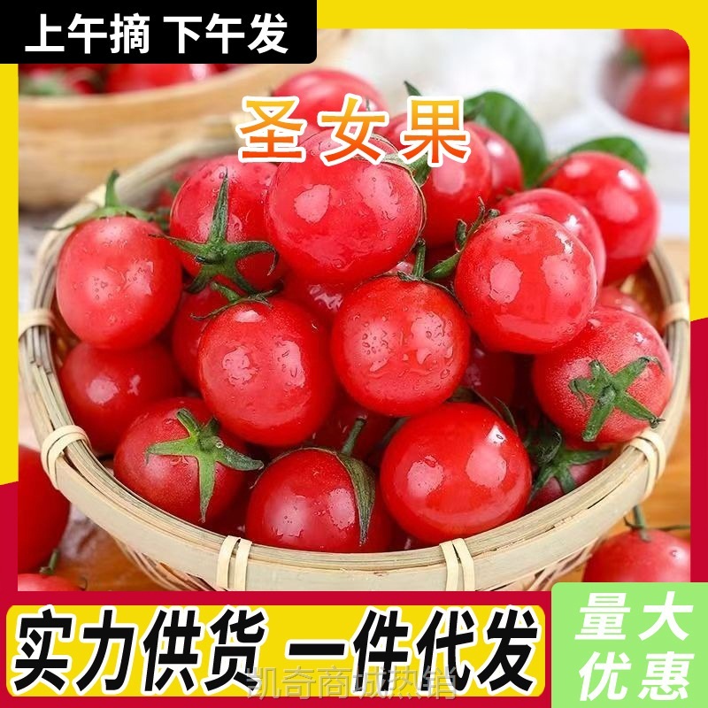云南圣女果新鲜水果小番茄蔬菜甜西红柿可生吃非千禧整箱包邮批发