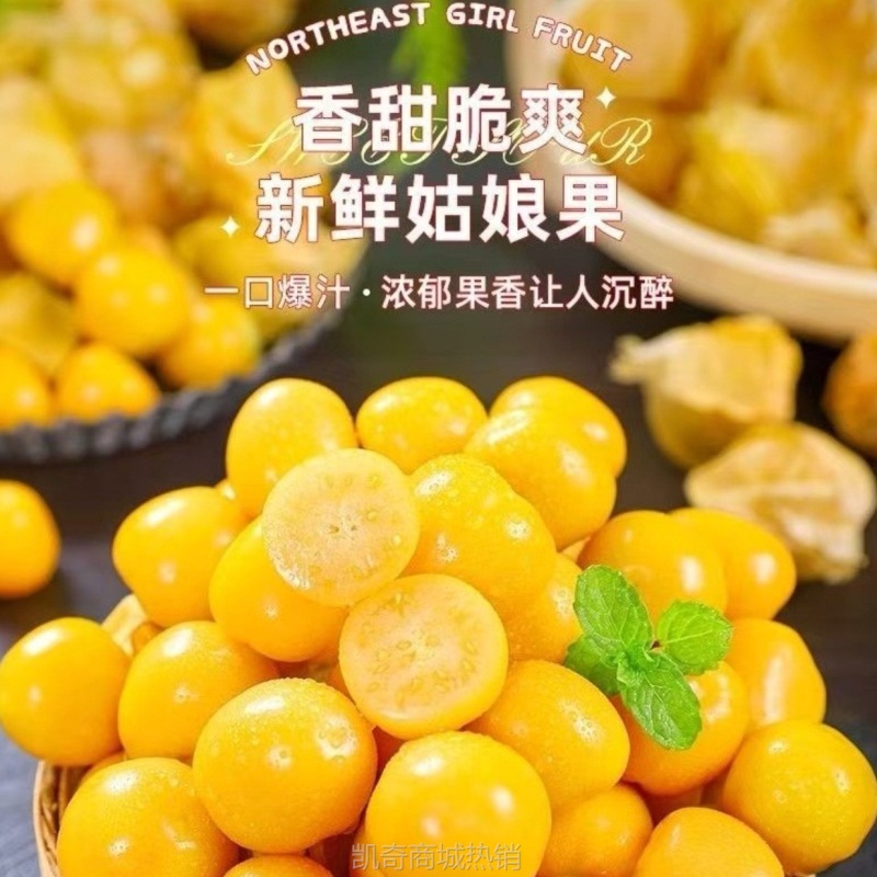 【东北头茬大姑娘果！】新鲜采摘灯笼果当季水果包邮橄榄三方端正