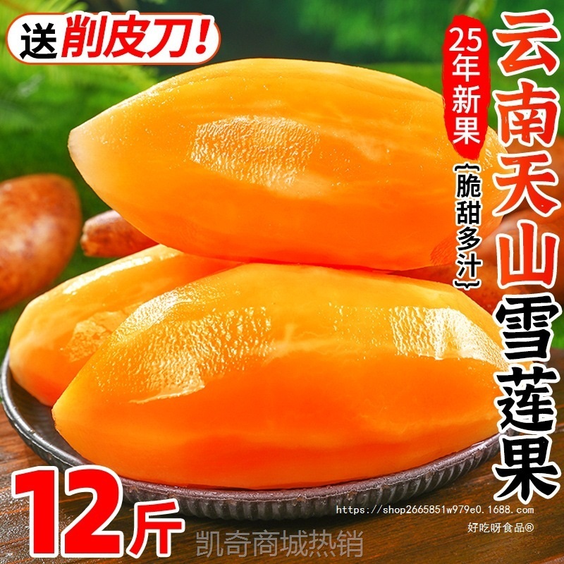 天山雪莲果12斤新鲜水果应当季云南孕妇红心雪连果黄心特整箱包邮