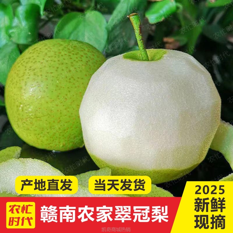 梨子新鲜水果赣州青梨斤皇冠梨当季翠冠梨香酥蜜早雪梨整箱直销