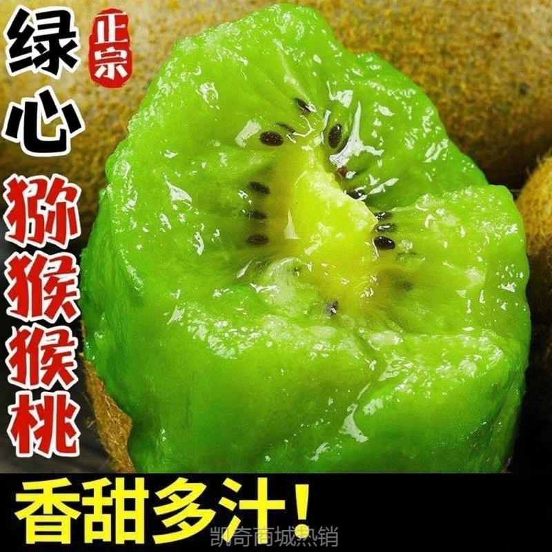 秦美正宗陕西周至绿心猕猴桃现摘大果当季新鲜水果新鲜猕猴桃