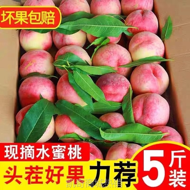 水蜜桃整箱10斤桃子水果新鲜应当季现摘孕妇水果脆甜毛桃5包邮