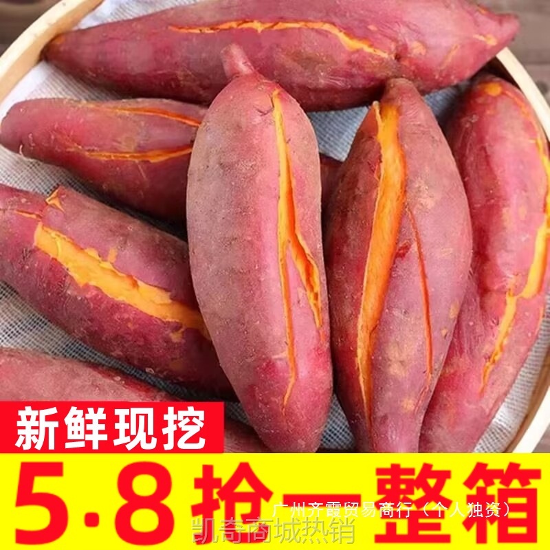 新鲜黄心正宗蜜薯超甜糖心红心番薯地瓜批发板栗山芋红薯沙地现挖