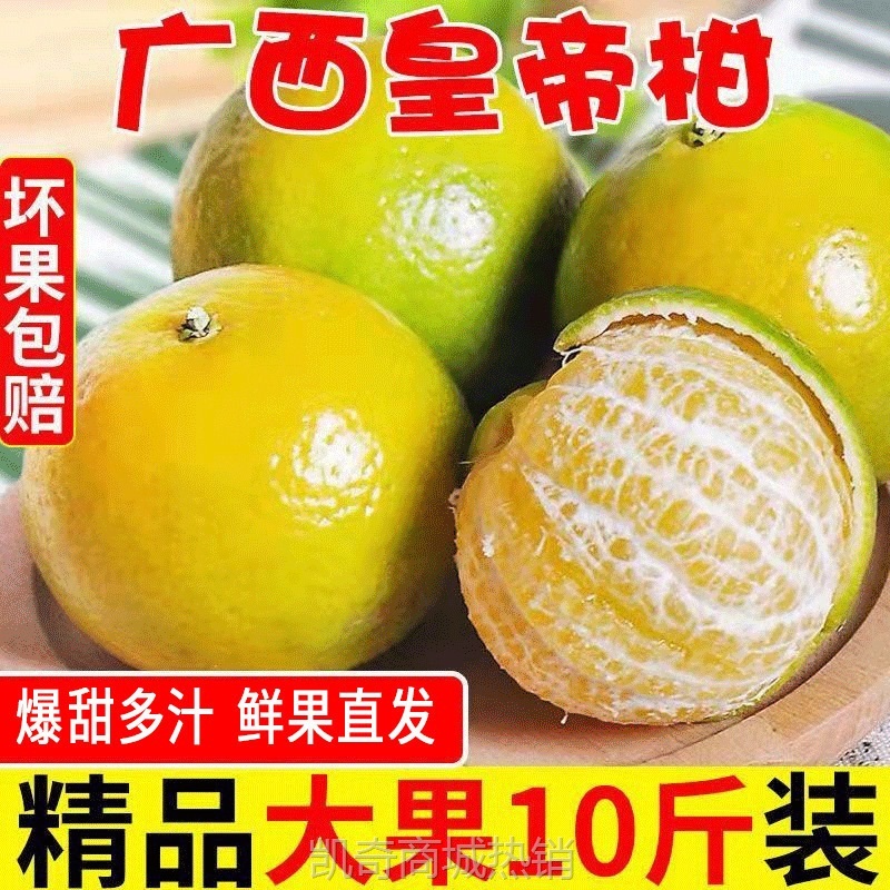 广柑斤新鲜水果贡柑/柑橘薄皮批发橘子桔子