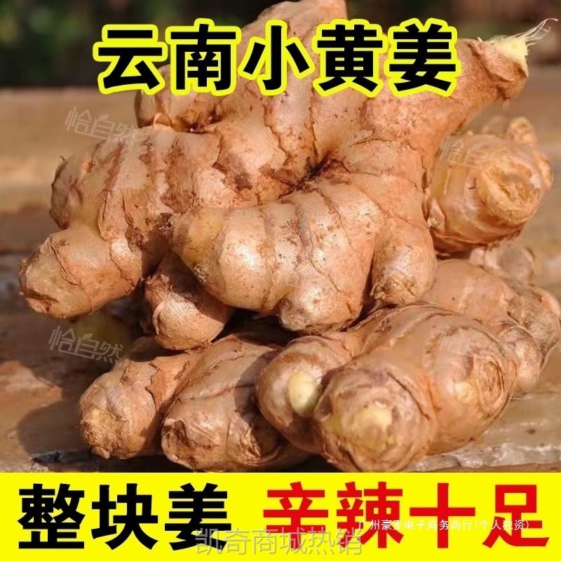农家自种云南小黄姜新鲜现挖黄姜生姜正宗老姜嫩姜月子整箱芋头