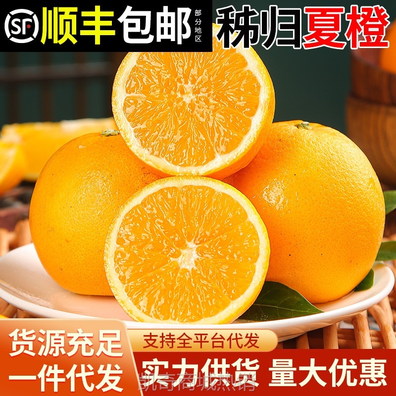 湖北秭归夏橙新鲜当季水果高山橙子现摘现发一件批发代发产地直供