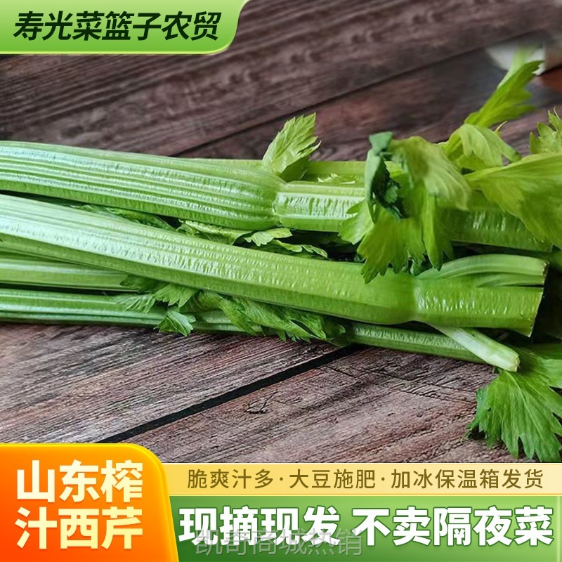 榨汁西芹新鲜大棵半叶西洋芹菜绿色蔬菜嫩心青菜香芹加冰现摘5斤