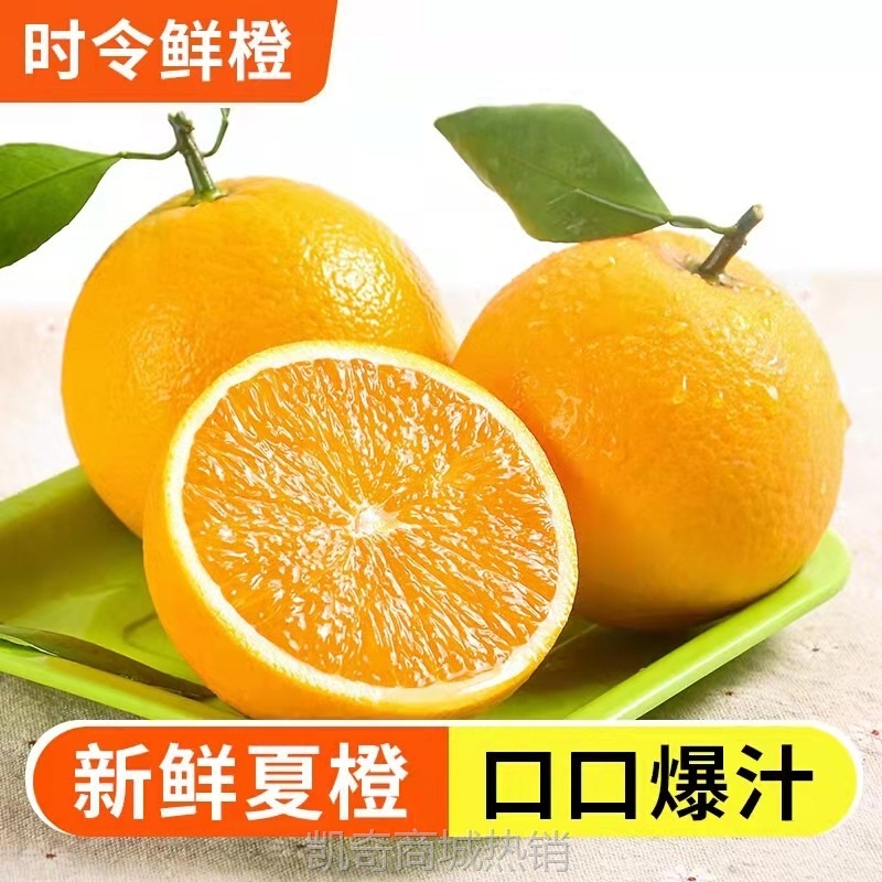【榨汁】秭归夏橙新鲜橙子当季水果榨汁橙多汁酸爽可口孕妇水果