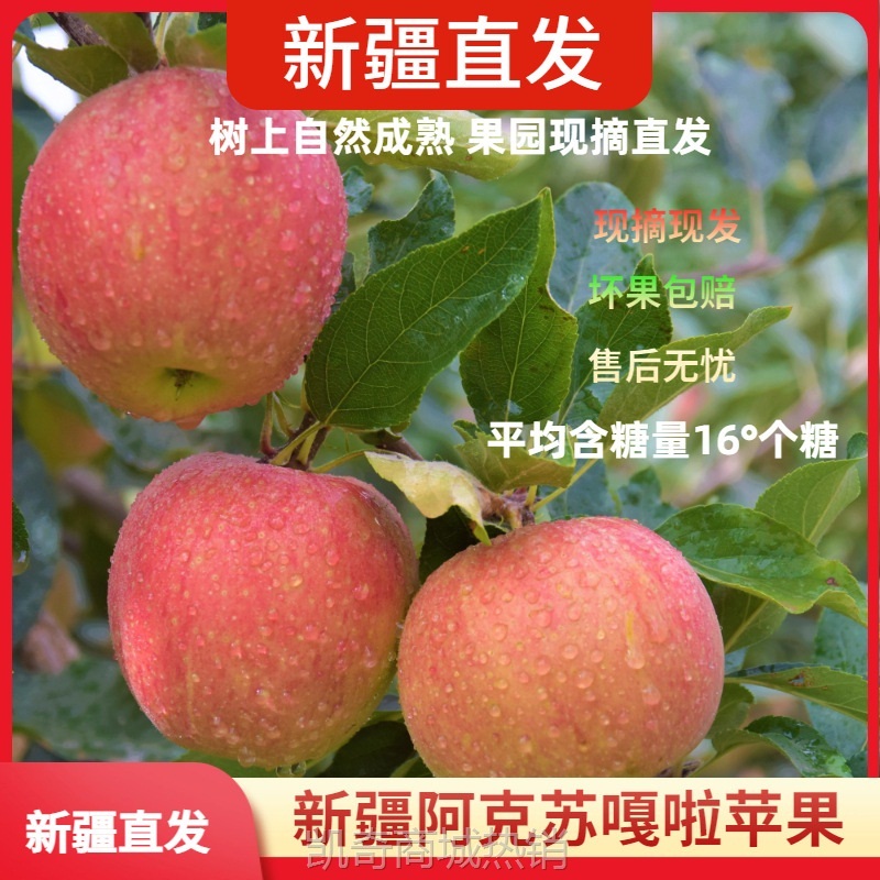 新疆阿克苏嘎啦苹果新鲜水果当季孕妇水果2025现摘脆甜小苹果整箱