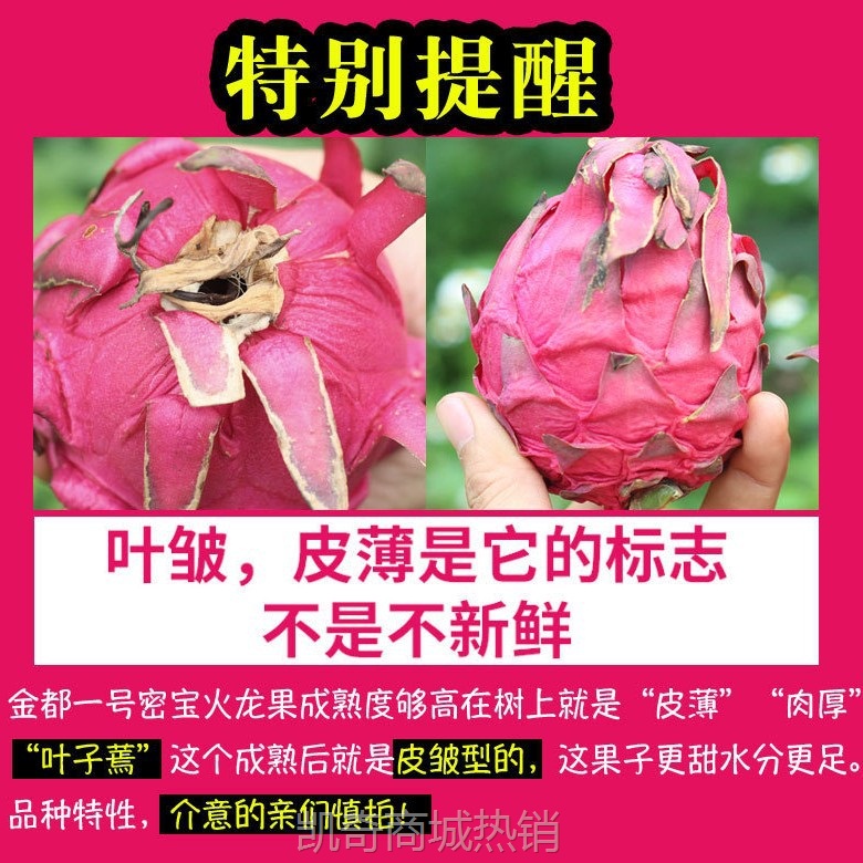 源头供应金都一号红心火龙果新鲜水果包邮一件代发