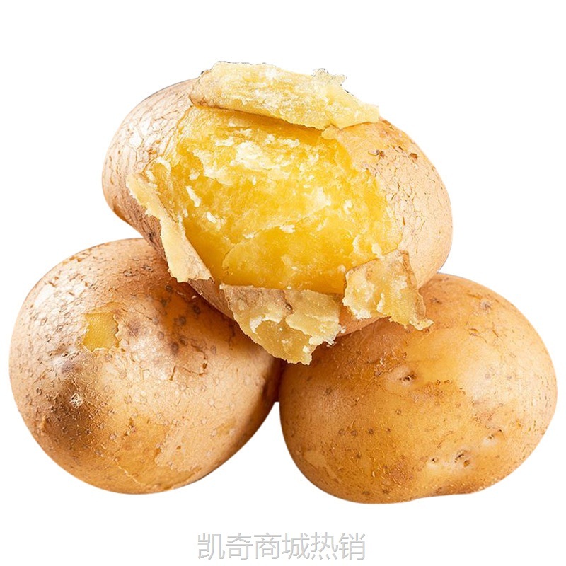 甘肃定西土豆新鲜马铃薯沙面粉糯黄皮黄心土豆高山农家自种直供批
