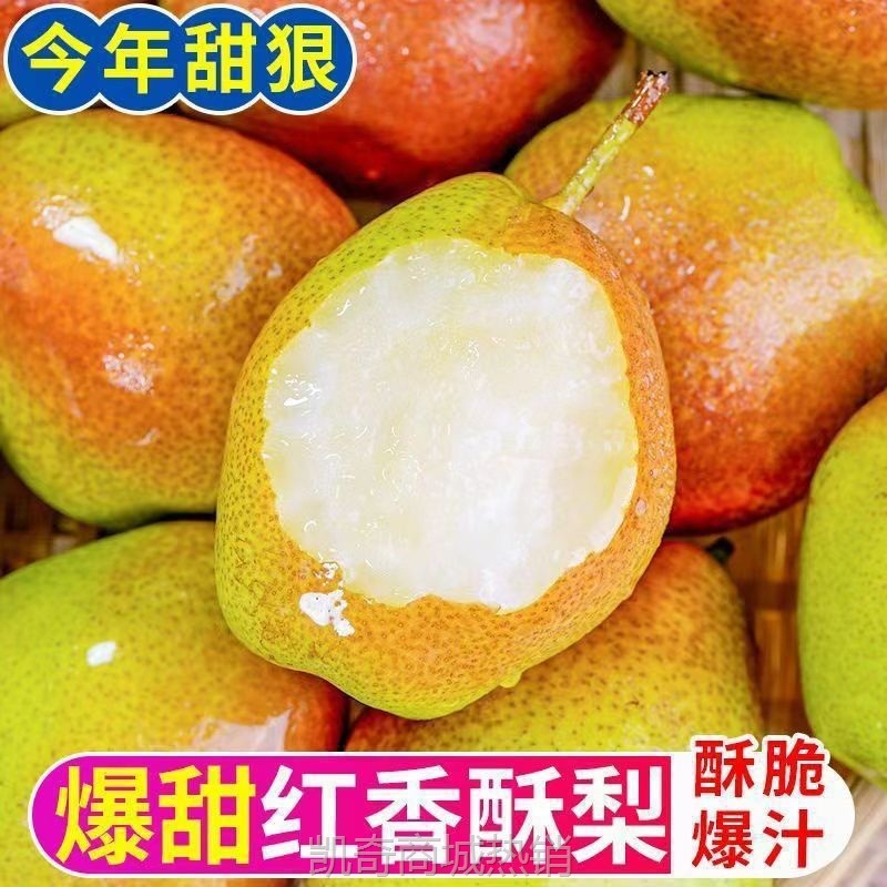 香梨梨子3新疆甜薄青皮新鲜水果源自库尔勒香梨10新疆斤脆5二级