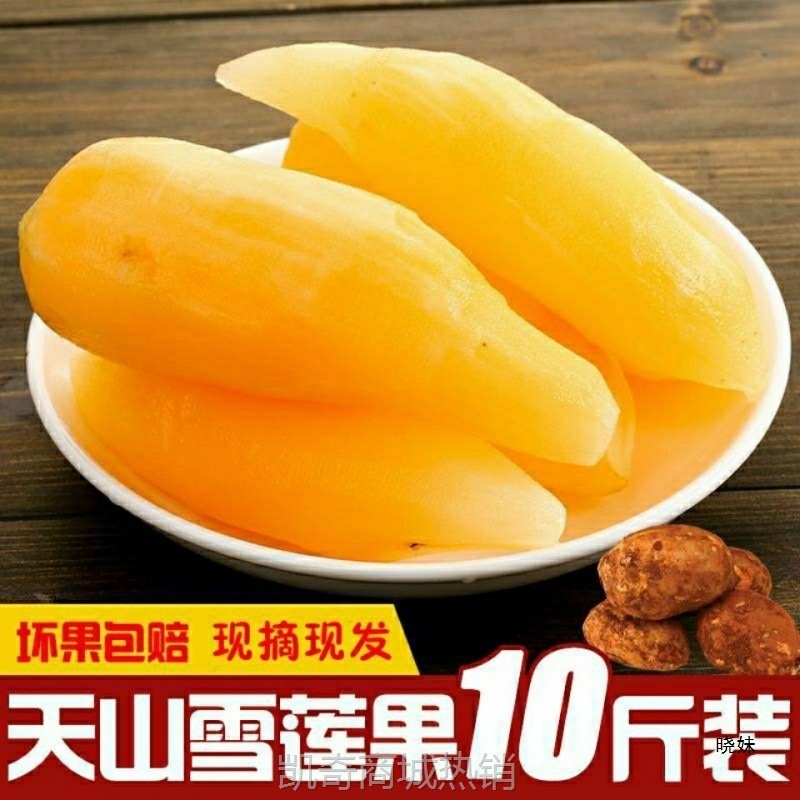 云南天山雪莲果新鲜10斤现挖现发产地直发红泥沙应季水果新鲜直发
