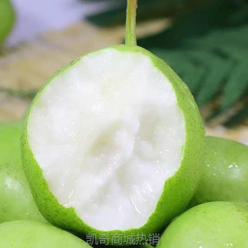 早酥梨新鲜青皮梨子当季时令孕妇水果一整箱2-9斤早熟酥梨批发