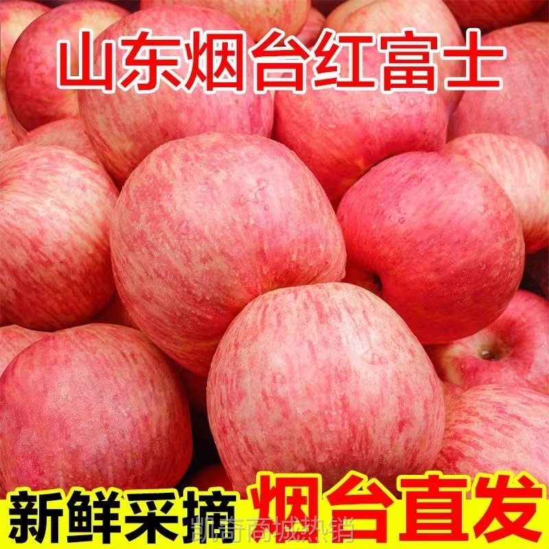 正宗烟台栖霞红富士苹果脆甜多汁新鲜应季水果整箱包邮批发代发·