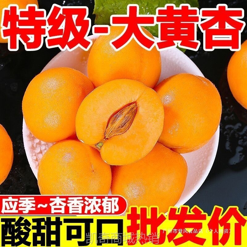 杏子水果新鲜现摘应当季酸甜大黄杏贵妃甜杏整箱批发酸杏非青杏无