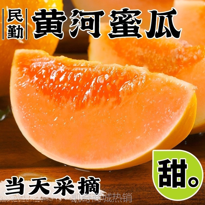 黄河蜜甜瓜新鲜水果应当季整箱包邮黄金脆香瓜哈密瓜斤甘肃民勤10