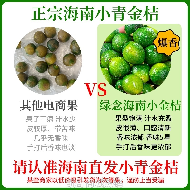 新鲜海南青金桔小青柠青柑皮薄应当季水果奶茶店柠檬新鲜5斤金橘1
