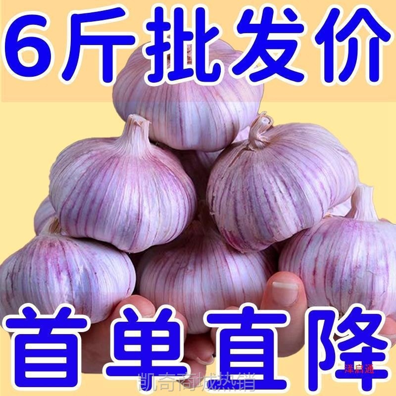 【首单直降】新干蒜紫皮大蒜头批发紫皮大蒜头大新鲜大蒜包邮