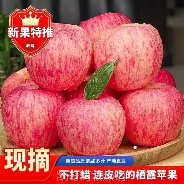 正宗烟台栖霞红富士苹果脆甜多汁新鲜应季水果整箱包邮批发代发·