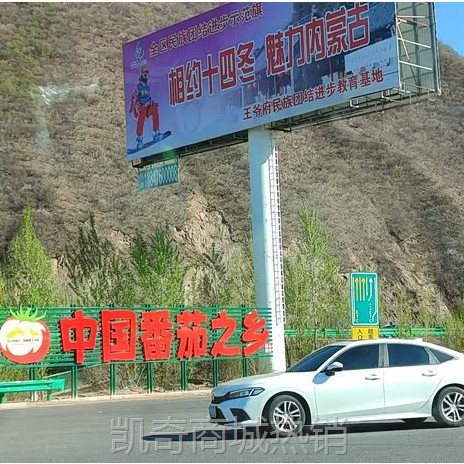 内蒙赤峰番茄之乡无公害西红柿番茄西红柿新鲜碱地硬果番茄耐运输