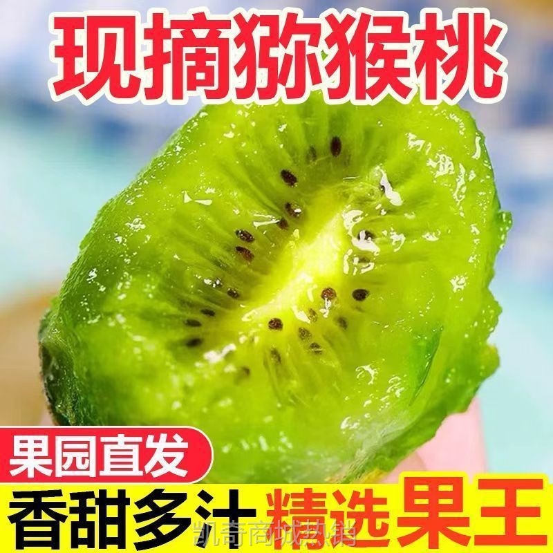 正宗猕猴桃绿心奇异果孕妇水果徐香新鲜纯天然猕猴桃现摘现发