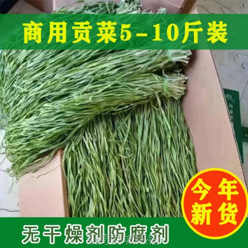 贡菜整箱5斤10斤凉拌苔干响菜火锅配菜干菜贡菜新鲜农家批发