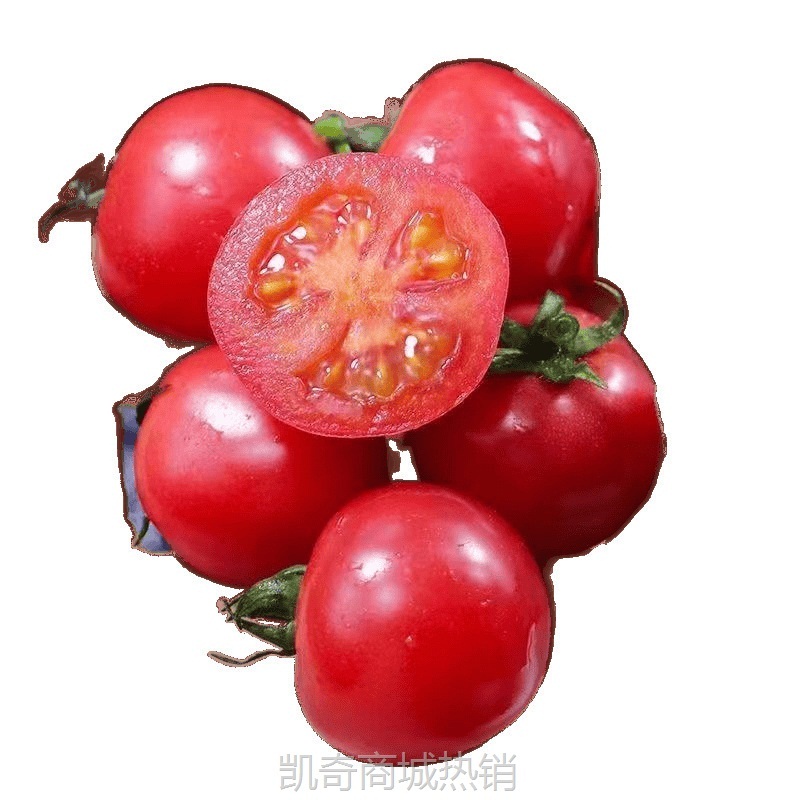 圣女果沙瓤现摘果番茄批发西红柿露天蔬菜新鲜水果整箱樱桃非千禧