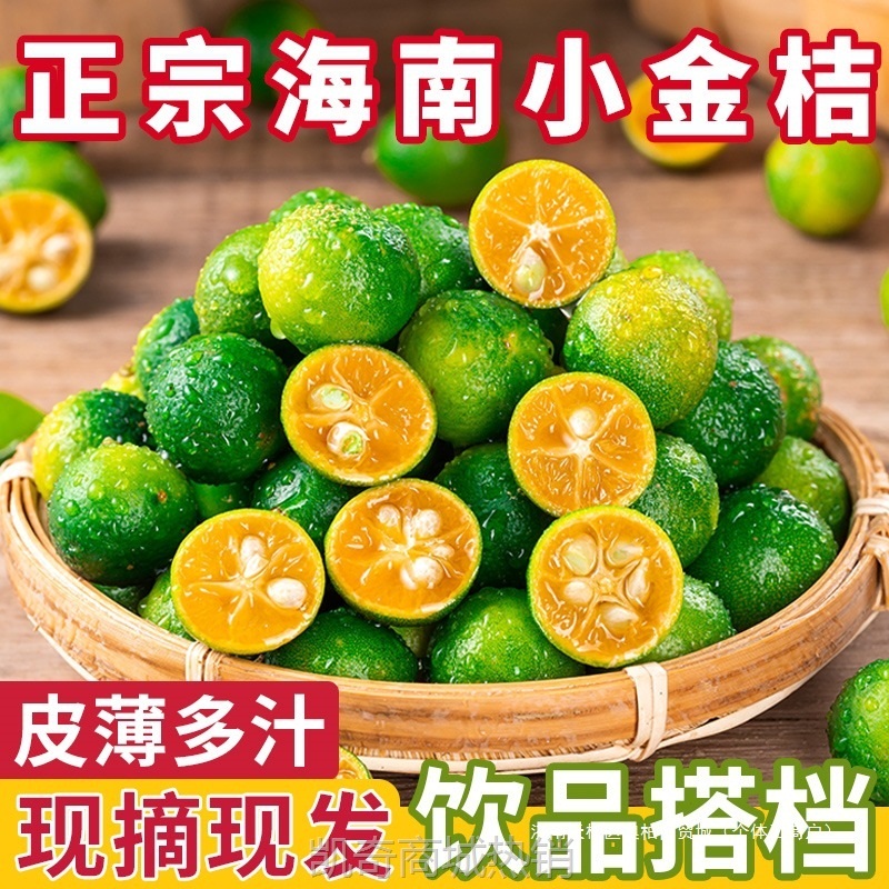 新鲜海南青金桔小青柠青柑皮薄应当季水果奶茶店柠檬新鲜5斤金橘1