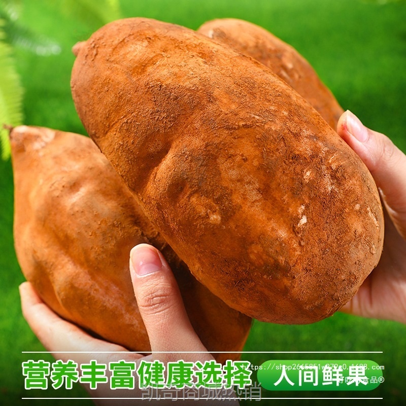 天山雪莲果12斤新鲜水果应当季云南孕妇红心雪连果黄心特整箱包邮