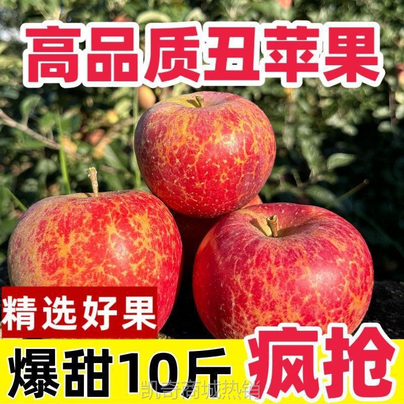 【直发】云南冰糖心丑苹果新鲜脆甜红富士丑苹果当季整箱批发