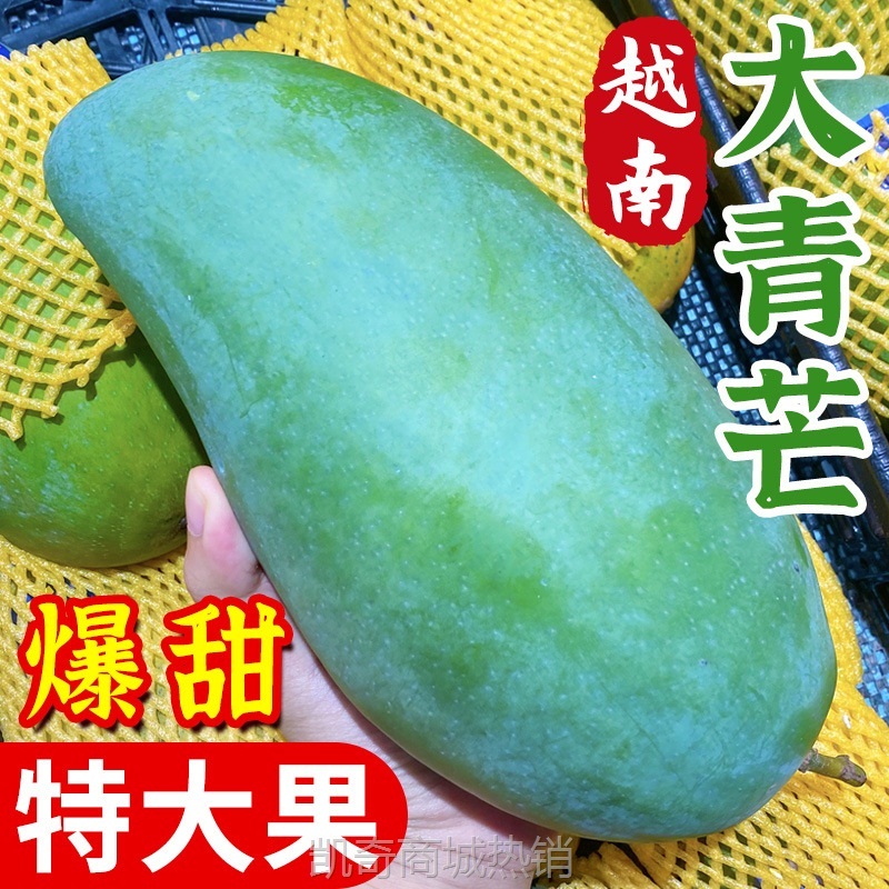 新鲜越南大青芒10斤芒果水果金煌芒青皮大果应季热带云南当季特产