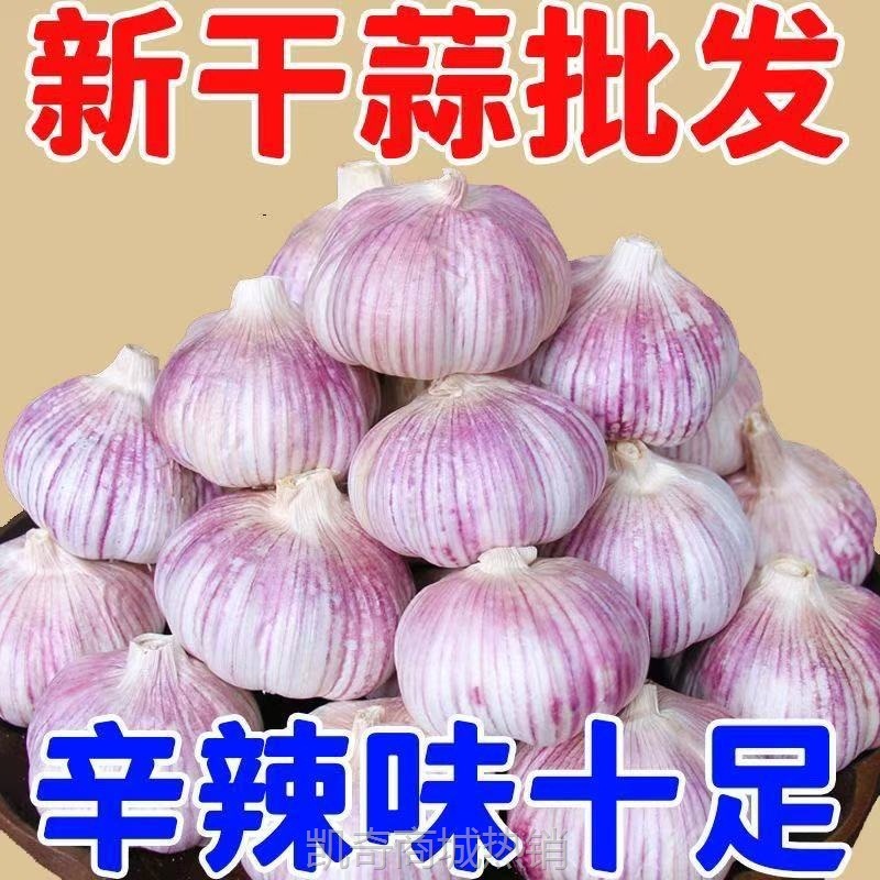 【紫皮大蒜】网红大蒜头干蒜紫皮大蒜头干蒜特大新鲜大蒜批发价