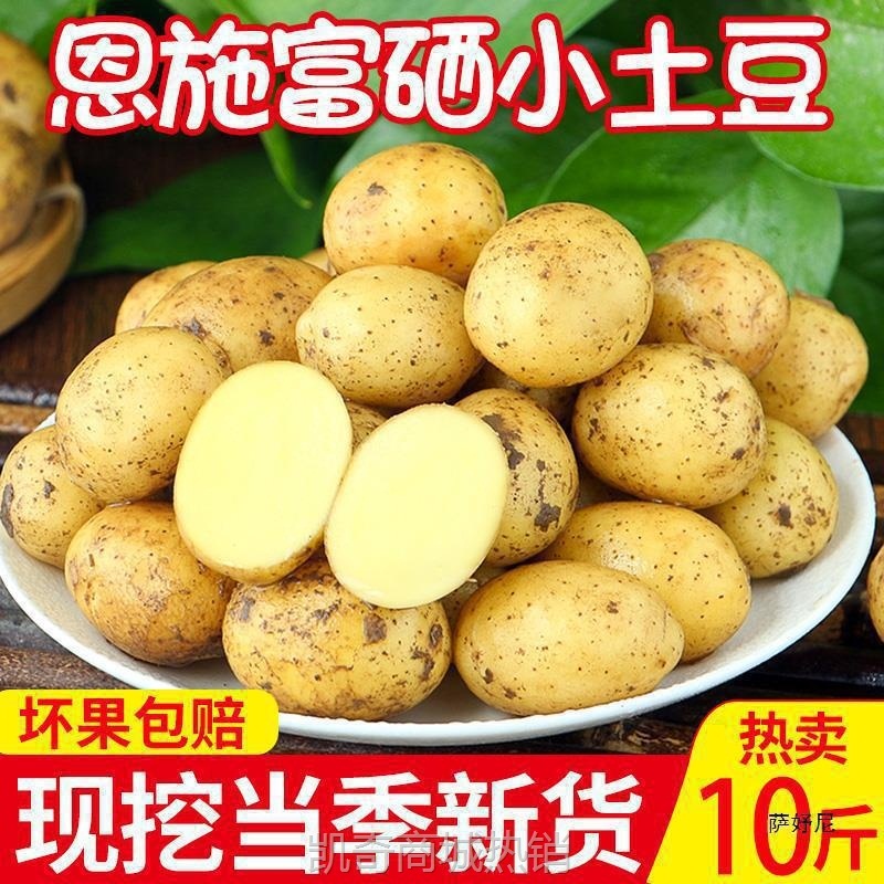 恩施小土豆斤包邮富硒新鲜洋芋迷你黄心士豆湖北马铃薯蔬菜
