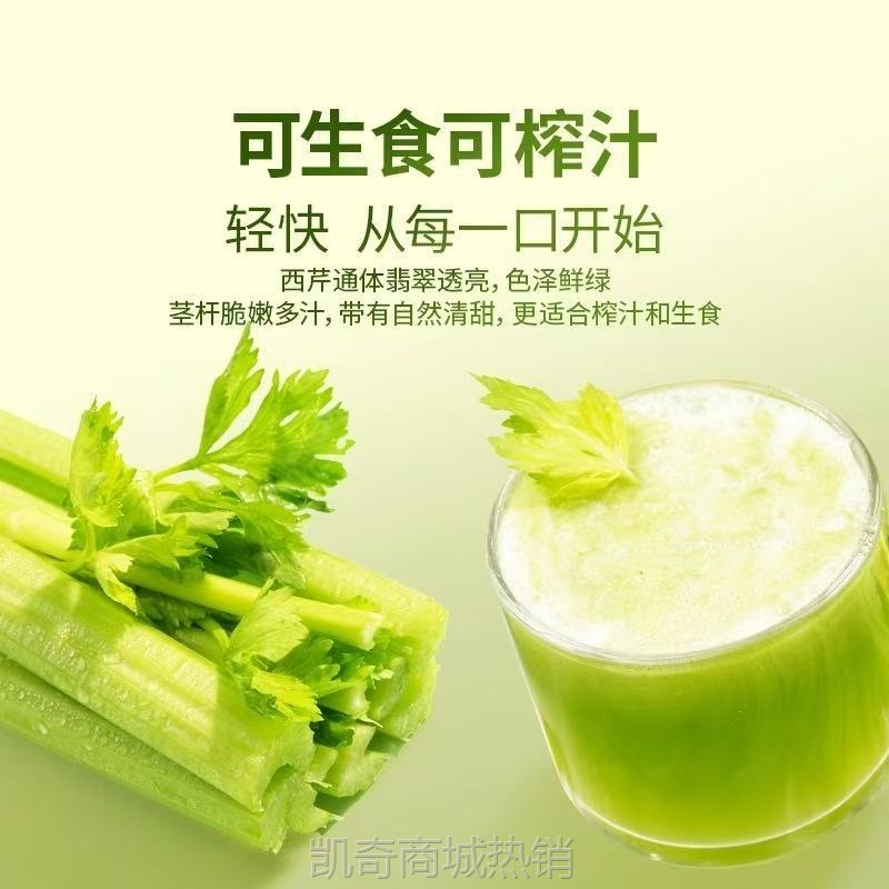 顺丰包邮    新鲜水果西芹现挖现发大颗西芹可榨汁生吃凉拌