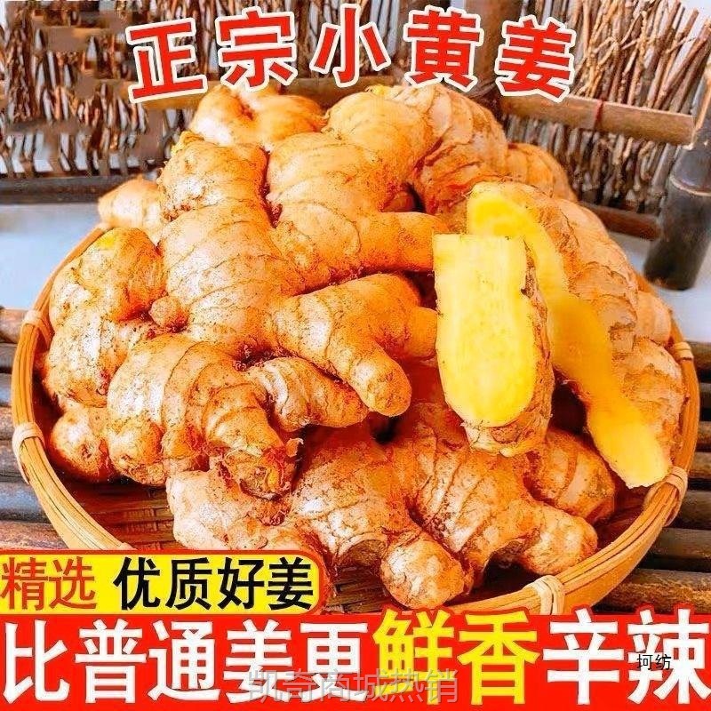 生姜批发云南小黄姜老姜新鲜现挖嫩姜月子姜大块黄姜新鲜蔬菜批发