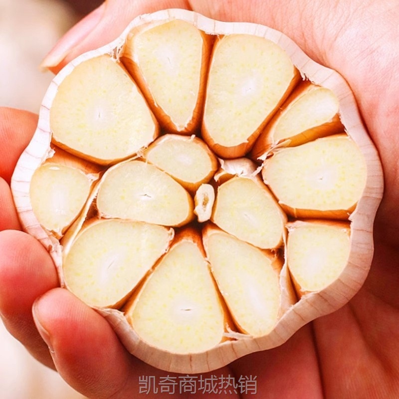 河南紫皮大蒜头干蒜5斤蒜头2025今年新鲜大蒜农家自种子独蒜批发