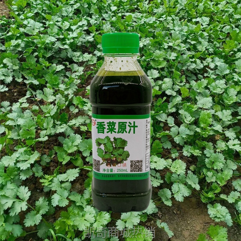 鲜榨香菜原汁250ml瓶装芫荽汁四季香菜调馅子做肉丸烧菜煲汤新鲜