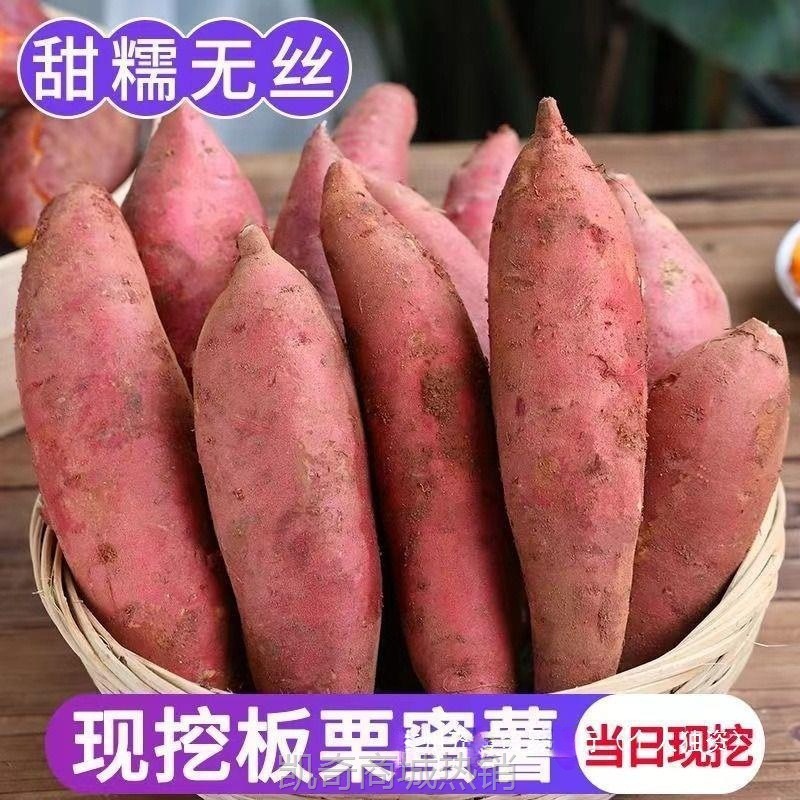 河南新鲜蜜薯糖心红薯9-10斤番薯农家沙地烤地瓜山芋流油黄心软糯