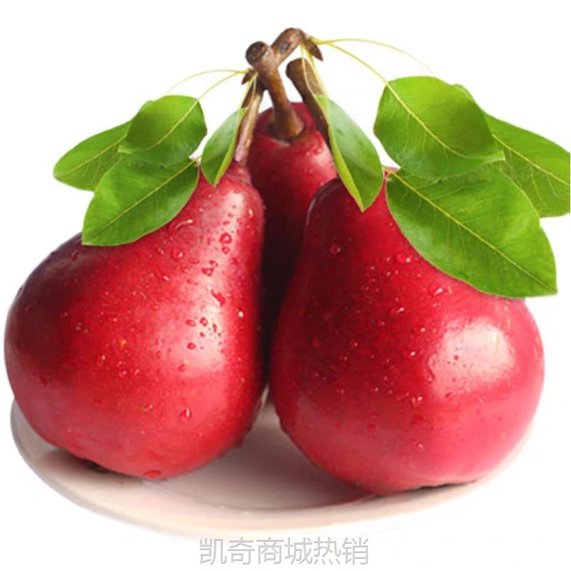 红啤梨当季水果新鲜太婆梨彩啤梨西洋红梨一面红梨红皮啤酒梨5斤
