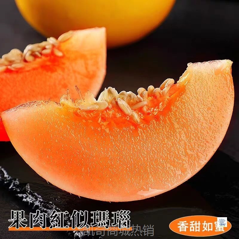 黄河蜜瓜新鲜水果当季水果冰糖网纹哈密瓜香甜瓜雪里红无