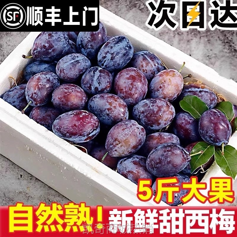 西梅鲜果5斤新鲜水果当季整箱李子法兰西应季蓝蜜大西梅时令礼盒