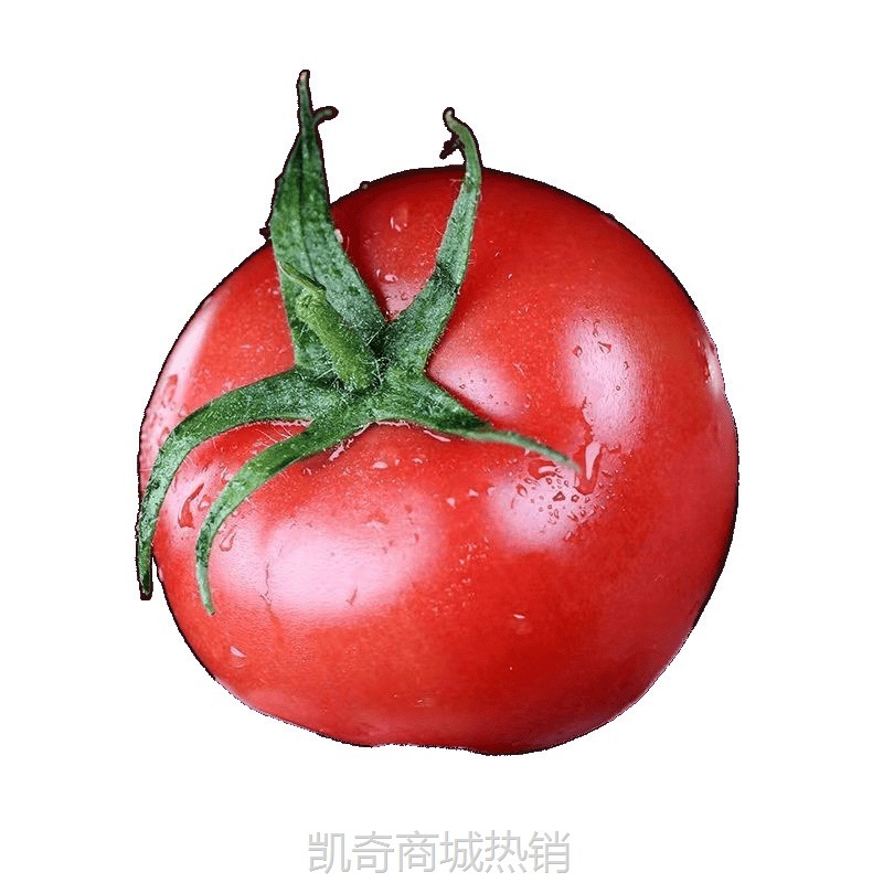 普罗旺斯西红柿批发沙瓤新鲜番茄生吃现摘水果普罗旺斯自然季整箱