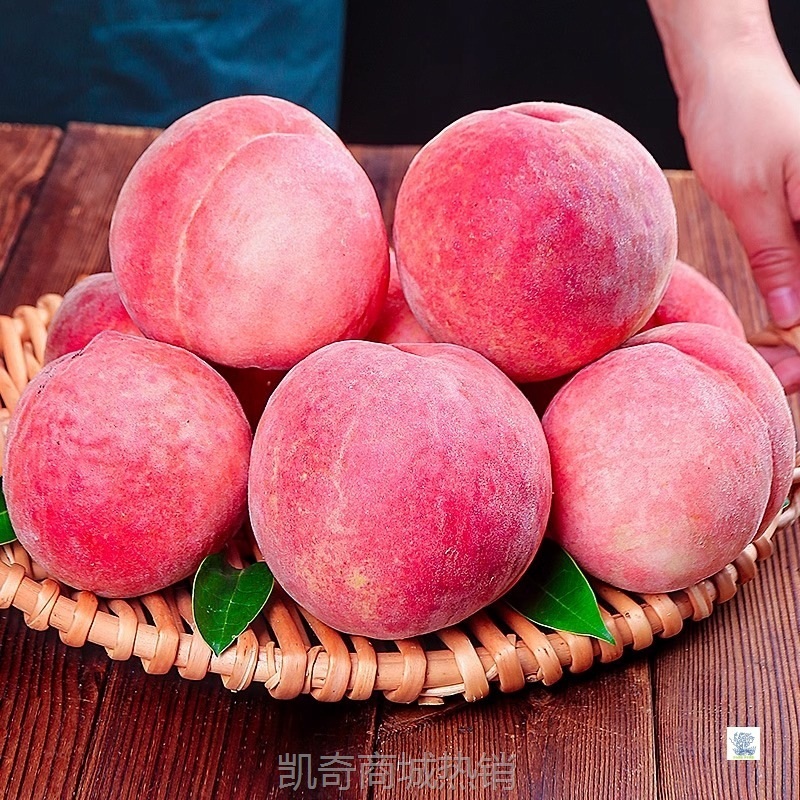 【顺丰】脆甜水蜜桃新鲜水果桃子脆桃10斤当季毛桃时令孕妇水果