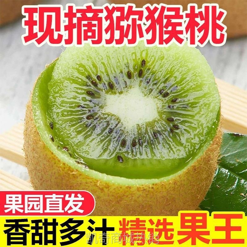 正宗猕猴桃绿心奇异果孕妇水果徐香新鲜纯天然猕猴桃现摘现发